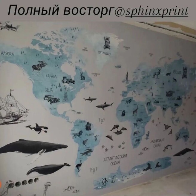 Фотообои блакитна карта