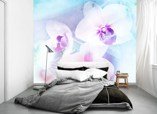 три орхидеи