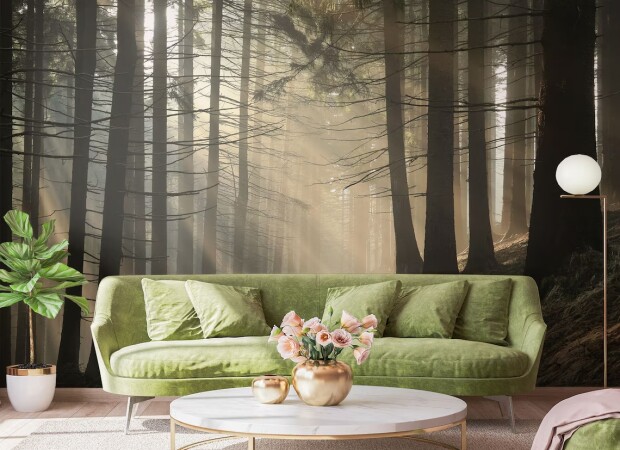 Утро в лесу