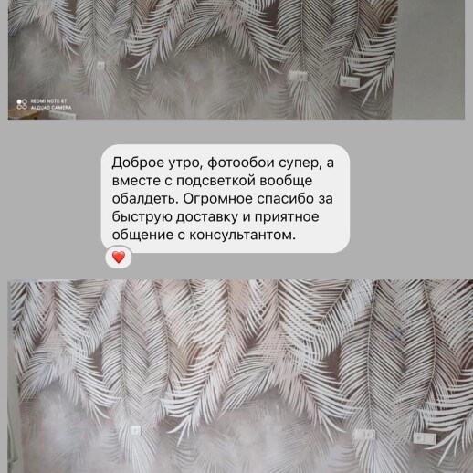 Отзыв 243