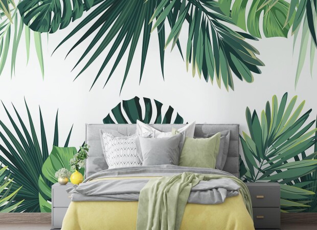 огромные зеленые листья монстера