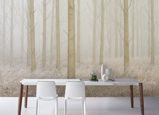 Морозное утро в лесу