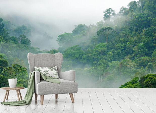 дымка над тропическим лесом