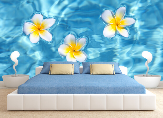 цветы на воде