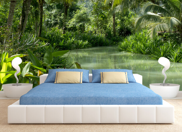 Ручей в джунглях