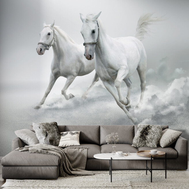 Фотообои белые лошади