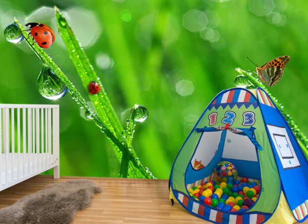 божья коровка на травинке