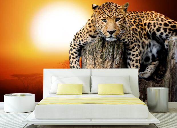 ягуар на заході сонця