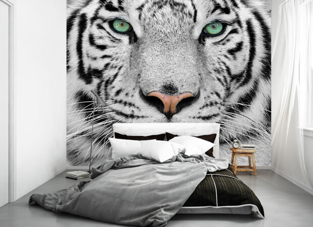 Красивий білий тигр