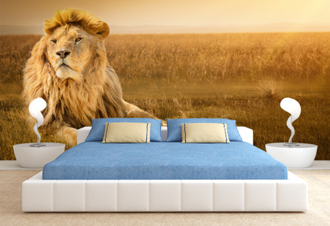 Фотообои гордый лев