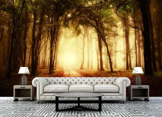 тропа в лес