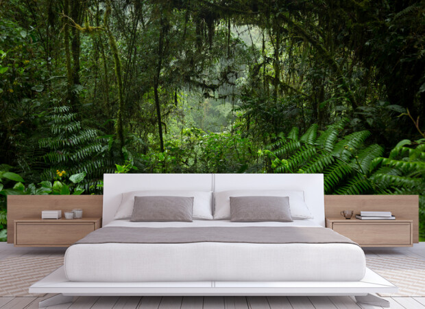 лесные заросли