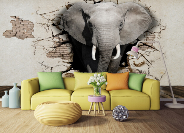 слон в стене