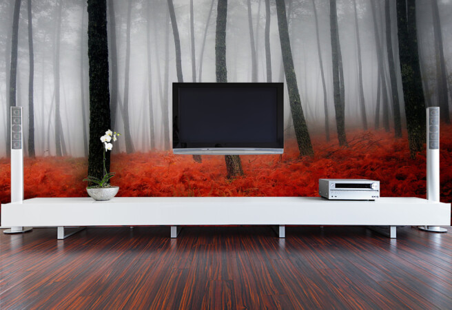 Фотообои красный лес