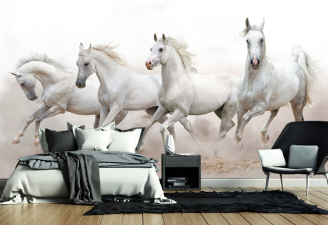 Фотообои белые лошади
