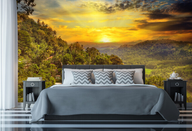 Фотообои Горные заросли