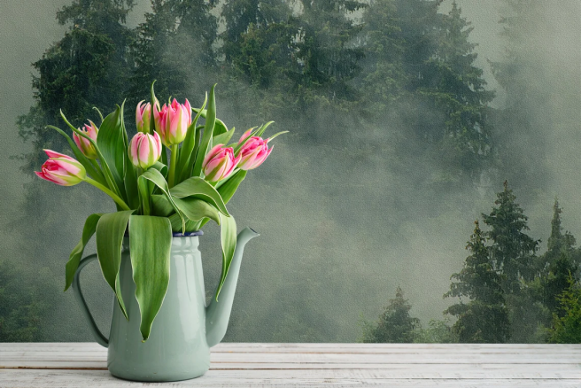 Фотообои лес