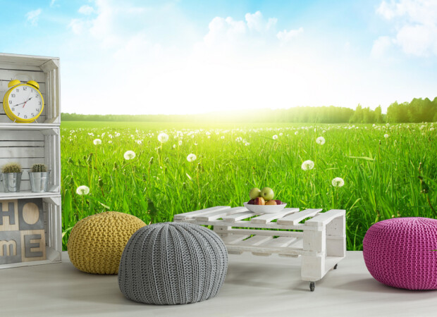 Солнечная полянка