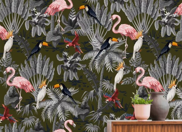 тропики фламинго и птицы