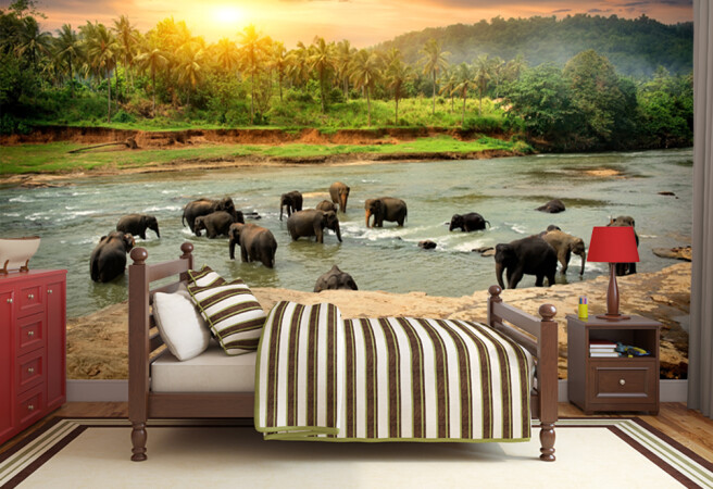 Фотообои СЛОНЫ В РЕКЕ
