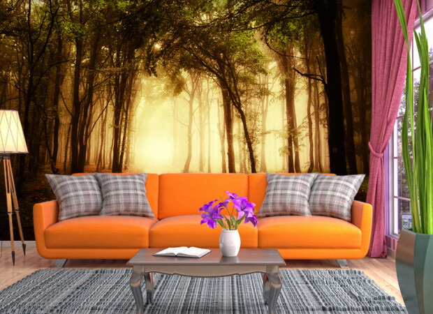 Лесной свет