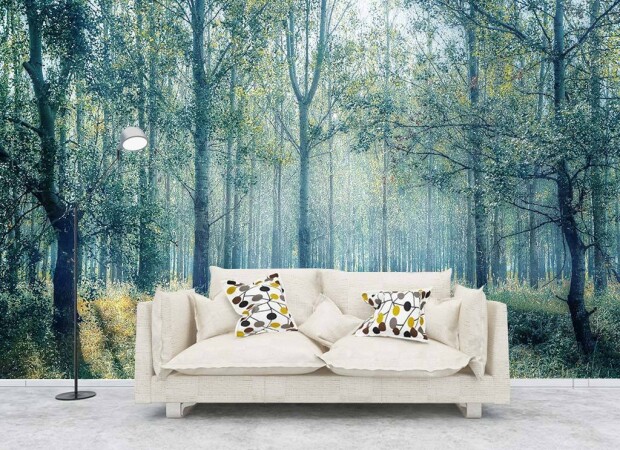 Весенний лес