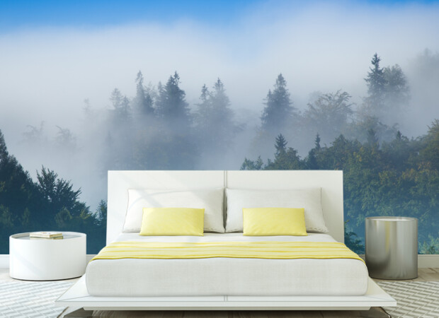 туман в лесу