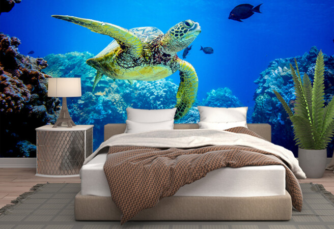 Фотообои большая черепаха