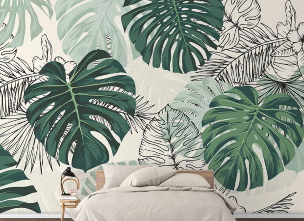 листья монстеры чб и цвет