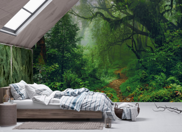 тропинка в зеленом лесу