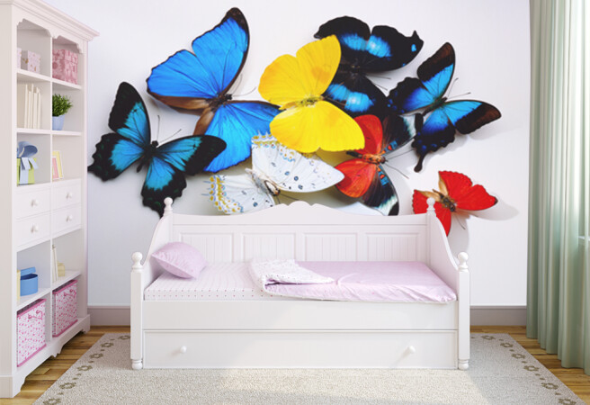 Фотообои Бабочки на стене