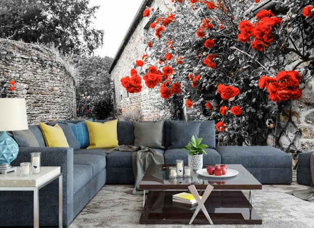 Семейная роза