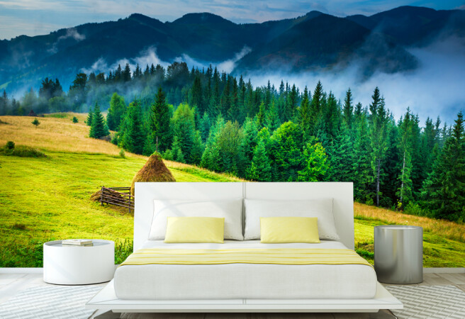 Фотообои горный луг