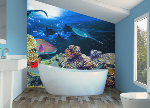 Риби та корали