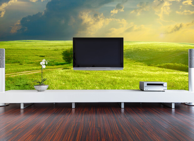 зеленое поле