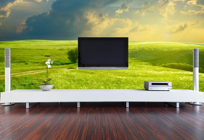 Фотообои зеленое поле