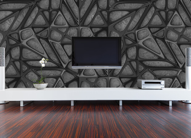 стальная паутина