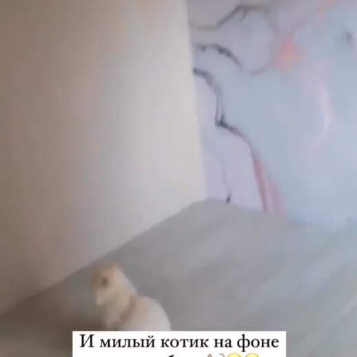 Отзыв 247