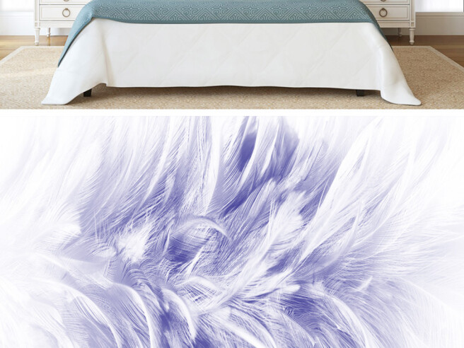 Фотообои Біло-блакитне пір’я