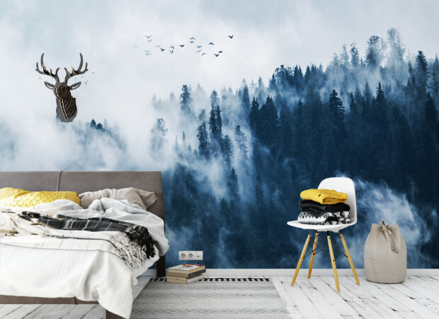 Утро в хвойном лесу