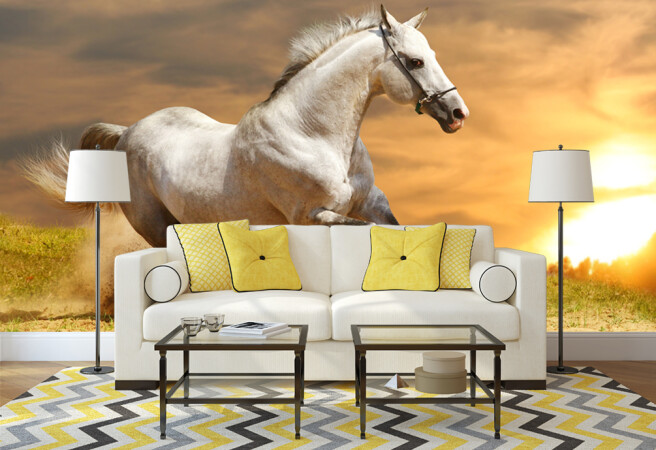 Фотообои Галоп
