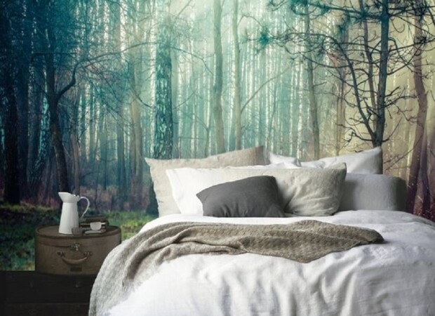 лучик света в чаще леса