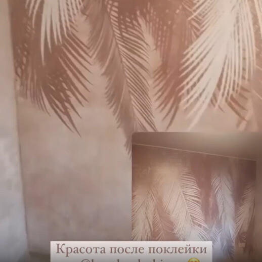 Отзыв 317