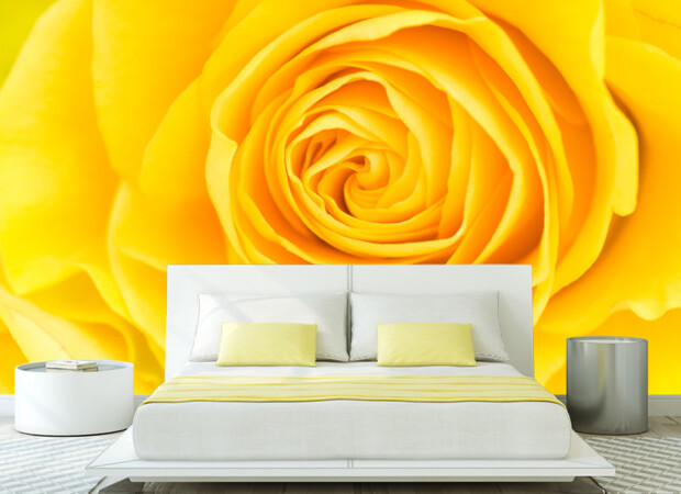 Желтая роза