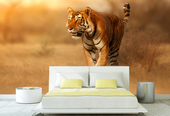 Фотообои тигр