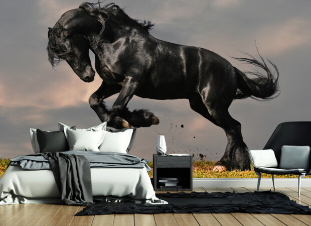 граціозний жеребець