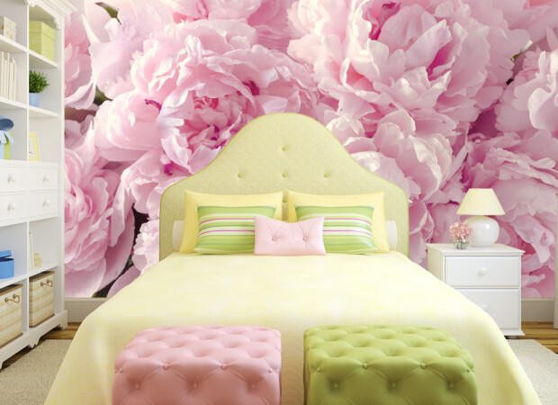 розовые пионы