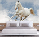 Фотообои облачная лошадь