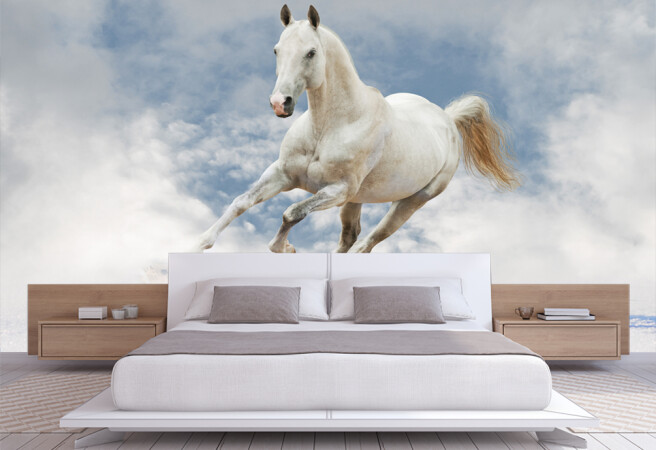 Фотообои облачная лошадь