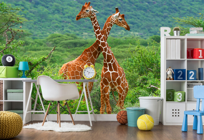 Фотообои пара жирафов